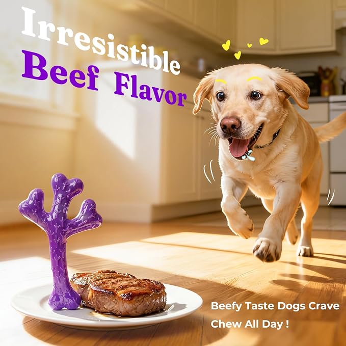 Frienhund 2-Pack Indestructible Dog Chew Toys for Aggressive Chewers | Textured Cactus with Grooves for Peanut Butter & Yogurt, Beef Nylon Bones for Large Dogs 20-90 lbs, Easy Chew & Long Lasting