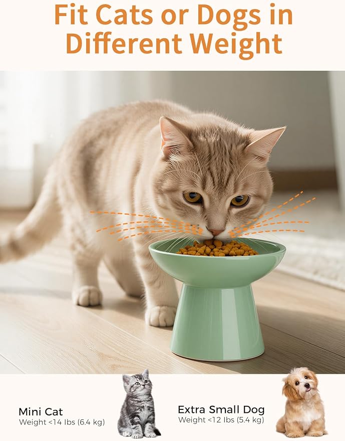 LoeJan Elevated Cat Food and Water Bowls Set, Extra Wide and Raised Ceramic Bowls, Anti-Vomit Whisker-Free Pressure Cat Feeder for Kittens to Adult Cats and Small Dogs