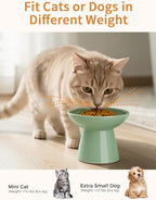 LoeJan Elevated Cat Food and Water Bowls Set, Extra Wide and Raised Ceramic Bowls, Anti-Vomit Whisker-Free Pressure Cat Feeder for Kittens to Adult Cats and Small Dogs