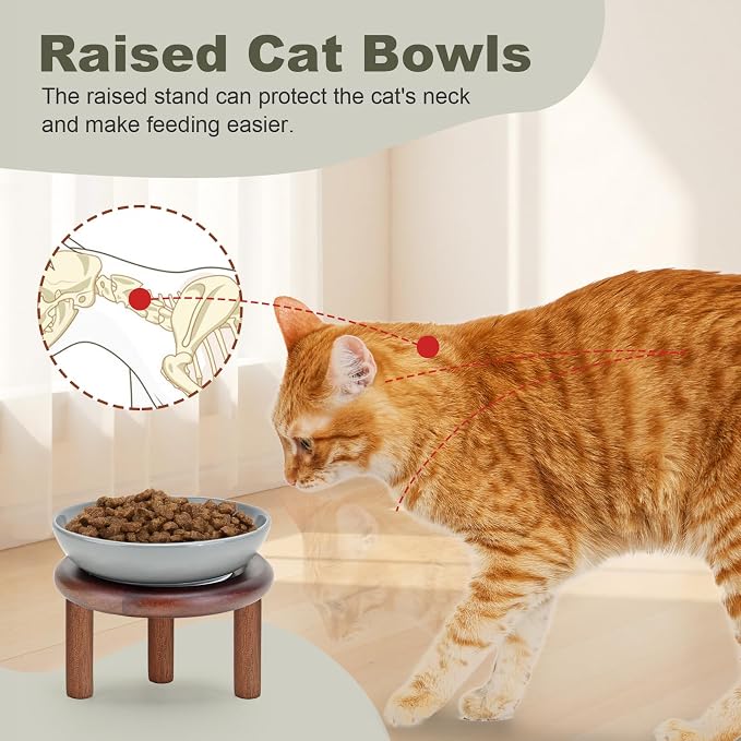 SPUNKYJUNKY Extra Wide Elevated Ceramic Cat Bowl with Acacia Wood Stand Whisker Friendly (Cat Paw Pattern, 2 Pack, Gray)