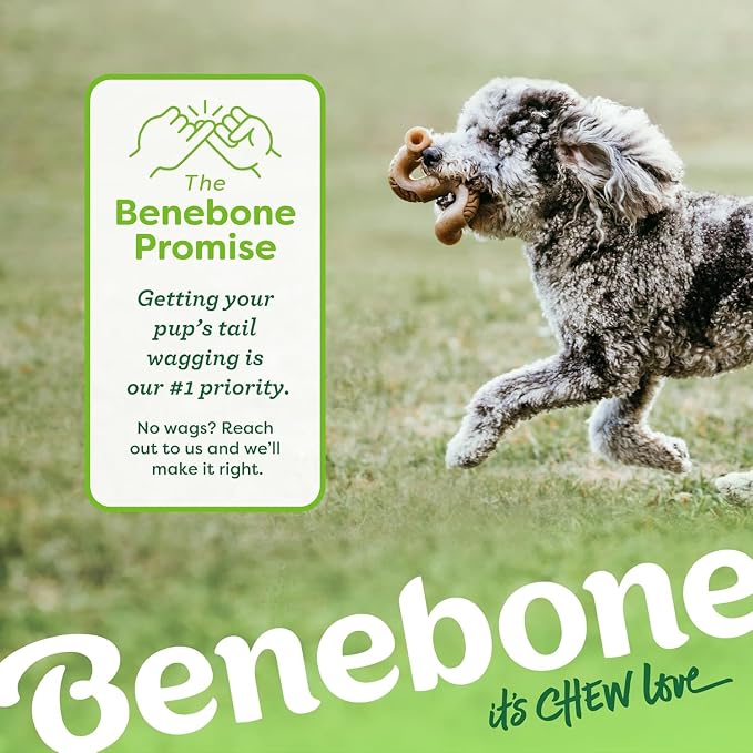 Benebone 7-Pack Dog Chew Toys for Aggressive Chewers, Dog Bones, Medium