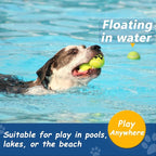 INSUM Squeaky Tennis Balls for Dogs 6 Pack 2.5" Squeaky Balls for Dogs | SGS Non-Toxic Test Pass, Multi Bright Colors Perfect for Outdoor & Indoor Play