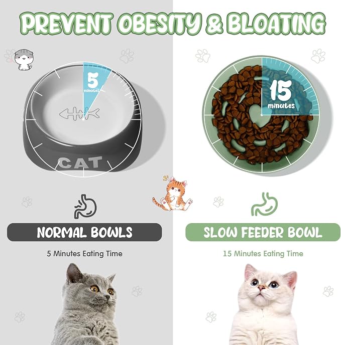 Tioncy 1 Pcs Ceramic Elevated Slow Feeder Cat Bowl, Raised Cat Slow Feeder Bowl, Anti Vomiting for Dry and Wet Food, No Spill High Edge Easy Clean Dishwasher Safe (Sage Green)