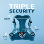 Voyager Step-in Flex Adjustable Dog Harness - Turquoise, Small | 15 - 18" in Chest, Fully Adjustable, Reflective Bands, All Weather Breathable Air Mesh, Lightweight, Fast Drying
