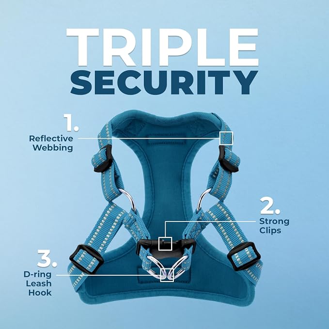 Voyager Step-in Flex Adjustable Dog Harness - Turquoise, X-Small | 13 - 16" in Chest, Fully Adjustable, Reflective Bands, All Weather Breathable Air Mesh, Lightweight, Fast Drying