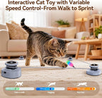 Jripae Interactive Cat Toys for Indoor Cats DIY Multi-Track Chase | Adjustable Speed,Electric Moving Treadmill Feather lure Toy Self-Play for Bored Kittens Adult Cats Hunt Instinct Exercise Run