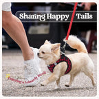 rabbitgoo Dog Harness Small Sized and Leash Set, Step-in Puppy Pet Vest | Light, Soft, Breathable Air Mesh, Easy on and Remove with Hook & Loop, Secure Reflective for Walking, Red Check XS