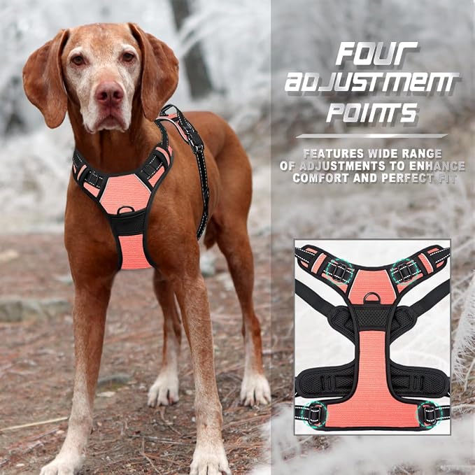BARKBAY No Pull Dog Harness Front Clip Heavy Duty Reflective Easy Control Handle for Large Dog Walking(Light Pink,XL)