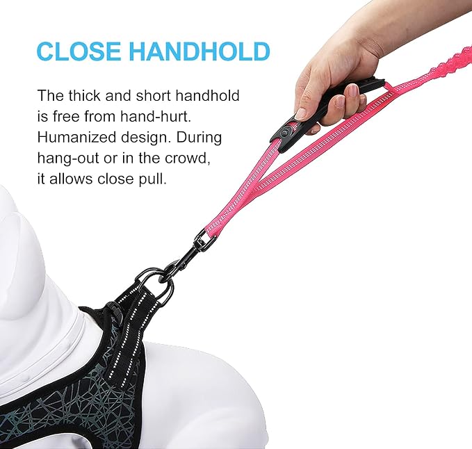 6FT Highly Reflective Heavy Duty Elastic Bungee Medium and Large Dog Leash Shock Absorbing with Comfortable Padded Handle and Traffic Handle Suitable for Training
