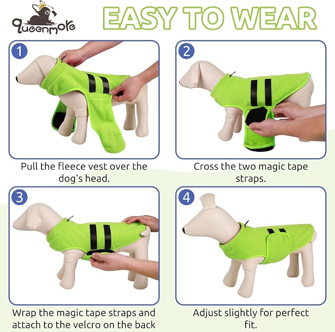 Queenmore Soft Fleece Dog Jacket, Warm Winter Dog Clothes with Leash Hole, Dachshund Sweater for Small Dogs Cats Boy or Girl (Green, S)