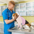 Lelepet Dog Recovery Suit for Front Legs, Dog Sleeve to Stop Licking L | Elbow Protector for Leg Injuries Shoulder Wounds After Surgery Male Female,Zippered Long-Sleeved Shirt Cone Alternative S-3XL
