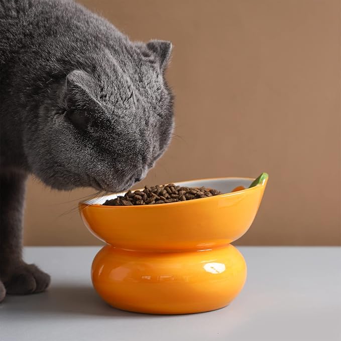 Cute Ceramic Raised Cat Food Bowl, Orange Shaped Cat Dish | Elevated Design, Fruit Themed, Anti Vomiting, Tilted Feeding, Indoor Cats