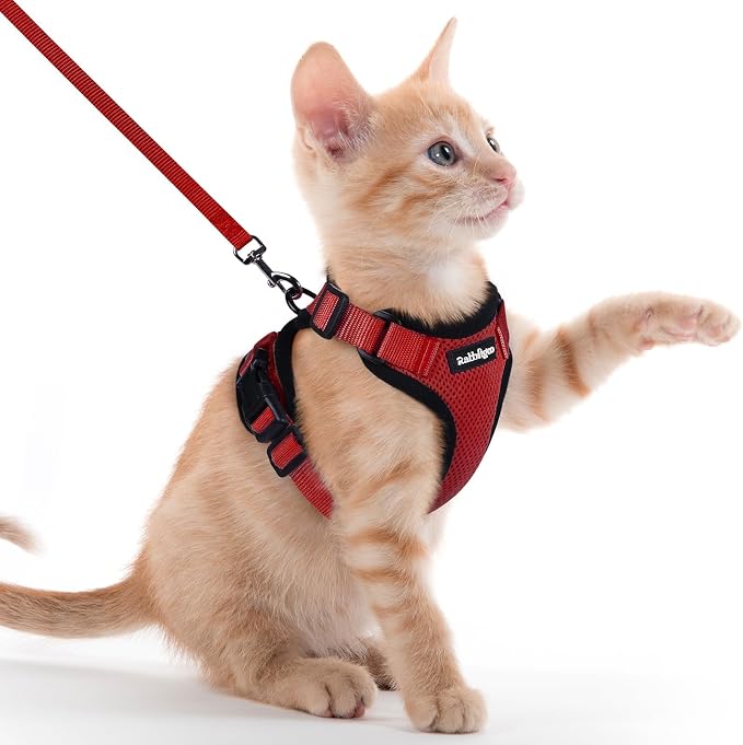rabbitgoo Cat Harness and Leash Set, Escape Proof Vest, Red | Soft Breathable Mesh, Easy Adjustable Fit, Snap Buckles, Sturdy Clip, Reflective Strips, for Kittens & Small Cats Walks, Xxs