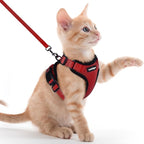 rabbitgoo Cat Harness and Leash Set, Escape Proof Vest, Red | Soft Breathable Mesh, Easy Adjustable Fit, Snap Buckles, Sturdy Clip, Reflective Strips, for Kittens & Small Cats Walks, Xxs