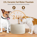 DOOOB Ceramic Cat Water Fountain 2.1L/71oz Ceramic Cat Fountains | Automatic Pet Water Fountain for Cats Pet Water Fountain with Ultra-Quiet Pump and 3 Filters & 3 Sponges (Beige)