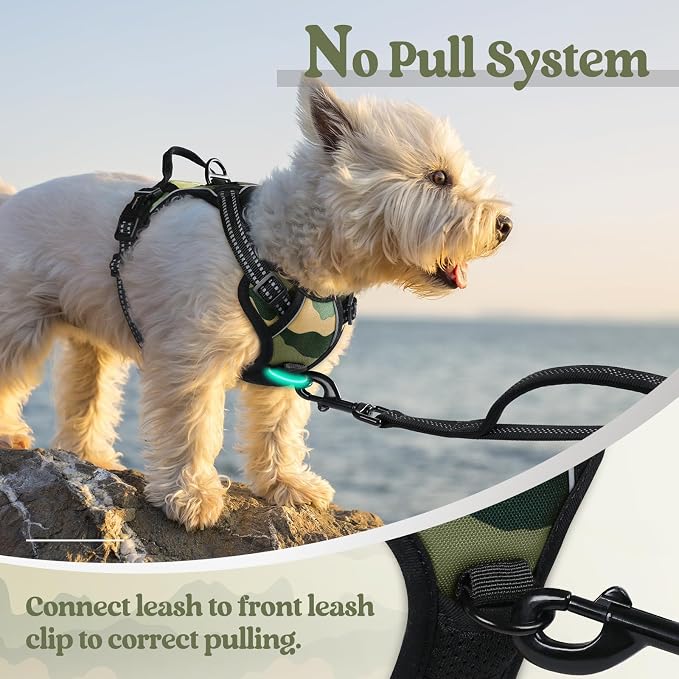 rabbitgoo Dog Harness, No Pull for Small Dogs with 2 Leash Clips, Pet Vest | No Choke with Handle, Adjustable Soft Padded, Reflective, Easy Control for Walking, Green Mountain, X-Small