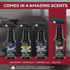 Blaze Away Fresh Air Odor Eliminator Spray (16 Fl Oz, 6 Pk) | Commercial Air Freshener • Professional-Strength • Long-Lasting • for Smoke, Pet, Bathroom, Vehicle, Hotel & Commercial Space