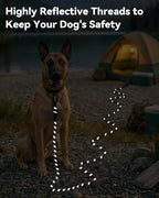 Joytale Long Dog Leash for Yard Tie Out & Recall Training, Black, 15FT | Secure Locking Carabiner, Removable Padded Handle, Reflective Webbing for Night Safety, Ideal for Outdoor Play and Camping