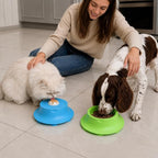 2-in-1 Silicone Slow Feeder Lick Bowl Suction Cup Anxiety Relief for Dogs & Cats
