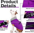 Lelepet Dog Winter Coats for Small Dogs Dog Jacket with Adjustable Buckle | Waterproof Reflective Pet Fleece Vest Windproof Cold Weather Coats with Hook and Loop Closure & Leash Hole, Turtleneck, S