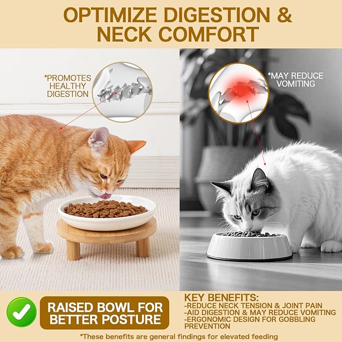 6 Inch Shallow Ceramic Elevated Cat Bowl, Whisker-Friendly Raised Flat Cat Food Plate Feeding Station with Bamboo Stand for Indoor Cats and Kittens (Single, 1.8" Stand, White)