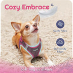 Eagloo Small Dog Harness and Leash Set, Step in Extra Small Puppy Pet Vest | Light, Soft, Breathable Air Mesh, Easy on and off with Hook & Loop, Reflective for Safe Walking, Rose Red, XXS