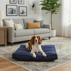 Indoor Dog Bed with Removable Washable Cover, Soft Basketweave Fabric, Reversible Cushion, Carry Handle, Baffle Construction to Help Prevent Fill Shifting, Cobalt - Medium (32"x32")