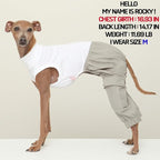 D Doggy Star Italian Greyhound Clothes Cargo Pants Onesie Outfit Whippet for Dog Coat (M,Grey Cargo)