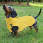 Dachshund Raincoat Weiner Dog Clothes Suitable for Dachshunds Corgi, Weiner, Dog Waterproof Coat with Reflective Stripe underbelly Protection - Yellow - L