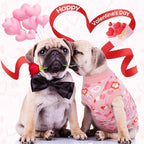 Kuoser Dog Surgery Recovery Suit, Valentine's Day Doggie Surgical Shirt for Female Male Dogs, Pet Onesies for Small Medium LargeDogs