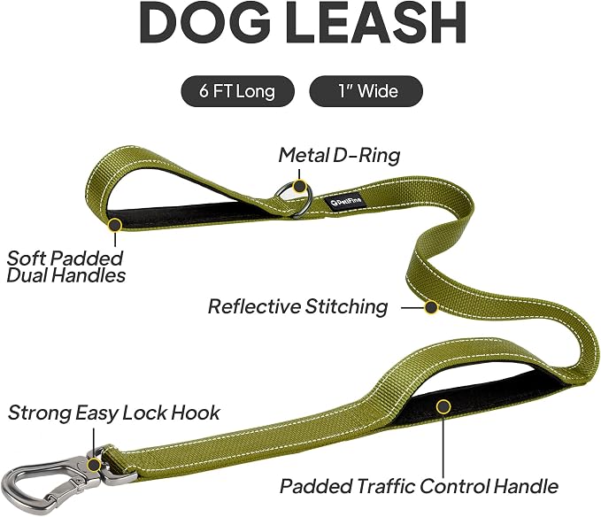 PetiFine 6FT Heavy Duty Dog Leash with Soft Padded Double Handle