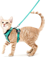 rabbitgoo Cat Harness and Leash Set, Escape Proof Vest, Emerald | Soft Breathable Mesh, Easy Adjustable Fit, Snap Buckles, Sturdy Clip, Reflective Strips, for Small & Average Cats Walks, Xs