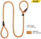 Fida Durable Slip Lead Dog Leash, 6 FT x 3/8" Heavy Duty Comfortable Strong Rope Slip Lead for Small Dogs and Puppies, No Pull Pet Training Leash with Highly Reflective (3/8", Orange)