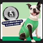 FUAMEY Dog Recovery Suit Male,Dogs Surgery Neuter Suits Puppy Spay Shirts for Female Protect Dog's Skin Anti Licking Abdominal Wounds Doggie Onesie Pet Bodysuit Alternative to Cone Green Stripes L