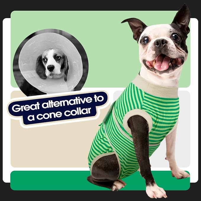 FUAMEY Dog Recovery Suit Male,Dogs Surgery Neuter Suits Puppy Spay Shirts for Female Incision Protection Anti Licking Wounds Doggie Onesie Pet Bodysuit Surgical Recovery Suit Green Stripes XL