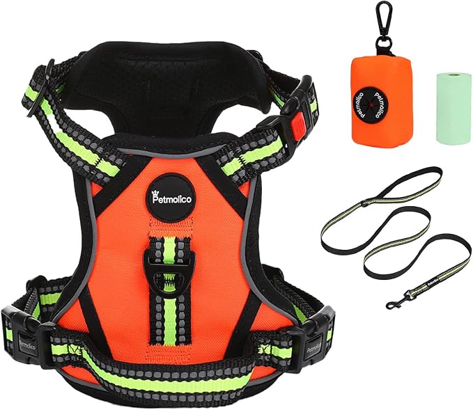 Petmolico No Pull Dog Harness Set,4 Leash Attchment Easy Control Handle Reflective Vest Dog Harness Small Breed Dogs Harness and Leash Set with Poop Bag Holder,Small-Orange