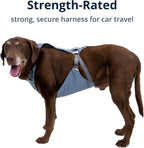 Ruffwear, Load Up Dog Car Harness, Padded Adjustable Travel Restraint with Universal Seat Belt Attachment and Strength-Rated Metal Hardware, for Road Trips in Cars & SUVs, Slate Blue, X-Small