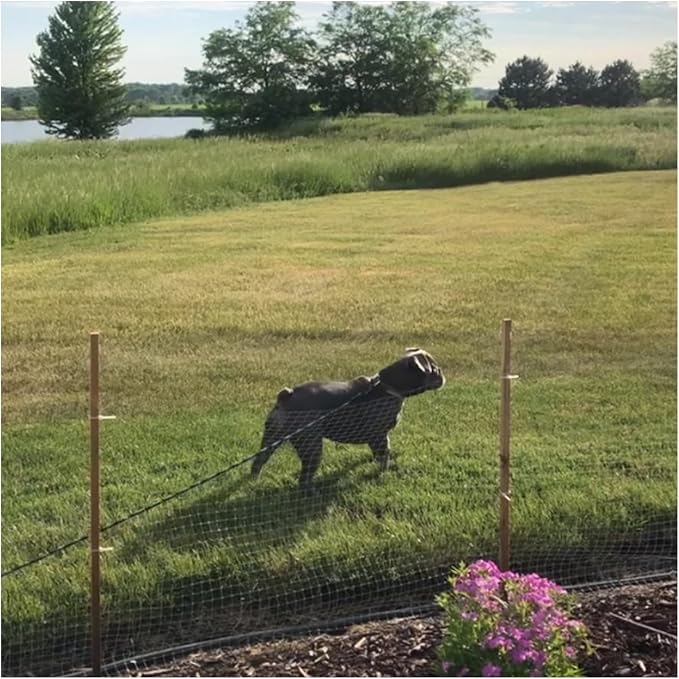 BTINESFUL Tie-Out Long Rope Dog Lead 8/12/20/30/50/75ft Dog Tether for Yard | Large Medium Dogs Outdoor Training, Playing, Camping, or Backyard (8 Foot, Blue Black)