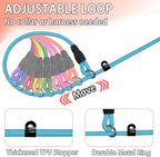 FOVRLZSE Nylon Dog Leash 11-Pack (11 Assorted Colors), 4.6FT for Small to Medium Dogs, 10mm Braided Nylon with TPU Non-Slip Buckle, Daily Walking & Puppy Training