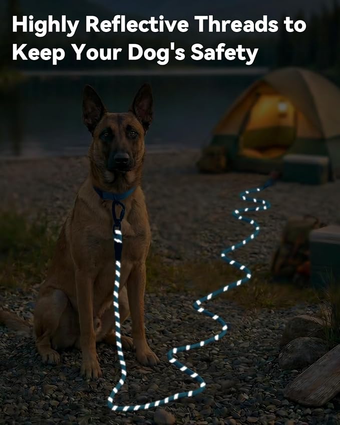 Joytale Long Dog Leash for Yard Tie Out & Recall Training, Blue, 65FT | Secure Locking Carabiner, Removable Padded Handle, Reflective Webbing for Night Safety, Ideal for Outdoor Play and Camping
