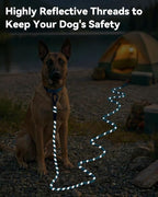 Joytale Long Dog Leash for Yard Tie Out & Recall Training, Blue, 15FT | Secure Locking Carabiner, Removable Padded Handle, Reflective Webbing for Night Safety, Ideal for Outdoor Play and Camping
