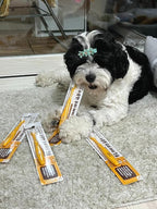 Tiny Small and Medium Dog Toothbrush Made in Korea Brush Bristles That are Soft and Do Not Irritate Your Dog’s Gums Small Toothbrush Grip and Excellent Tartar Removal (4pcs)