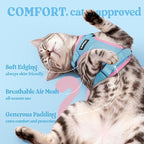 rabbitgoo Cat Harness and Leash Set, Escape Proof Vest, Light Blue & Pink | Soft Breathable Mesh, Easy Adjustable Fit, Snap Buckles, Sturdy Clip, Reflective Strips, for Average Cats Walks, S