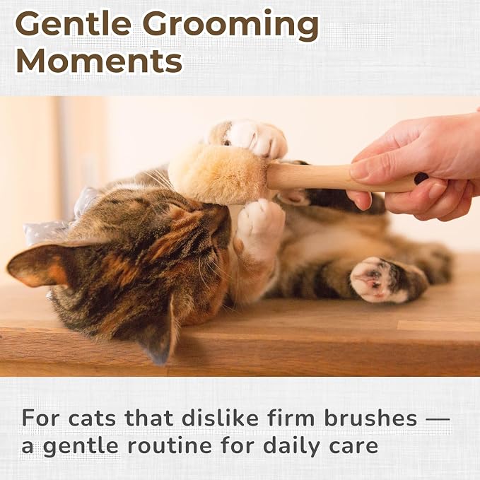 Wablade Cat Brush for Sensitive Cats & Kittens, Soft, 7.9", Made in Japan | Daily grooming & massage for routine care, gently lifts loose surface fur with natural sisal fibers (Not a Deshedding Tool)