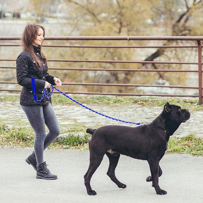 HOMIMP Chew Proof Dog Leash for Medium Large Dogs, Reflective 6 FT Heavy Duty Metal Chain Dog Leashes with Soft Padded Handle, Anti Bite Durable Rope Leashes for Pitbull, Non Chewable