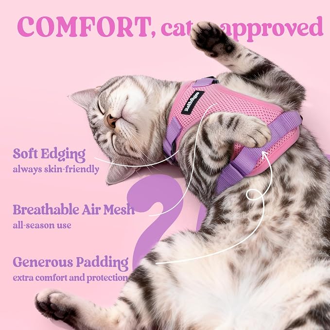 rabbitgoo Cat Harness and Leash Set, Escape Proof Vest, Pink & Light Purple | Soft Breathable Mesh, Easy Adjustable Fit, Snap Buckles, Sturdy Clip, Reflective Strips, for Average Cats Walks, S