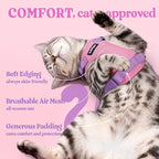 rabbitgoo Cat Harness and Leash Set, Escape Proof Vest, Pink & Light Purple | Soft Breathable Mesh, Easy Adjustable Fit, Snap Buckles, Sturdy Clip, Reflective Strips, for Small & Average Cats Walks, Xs
