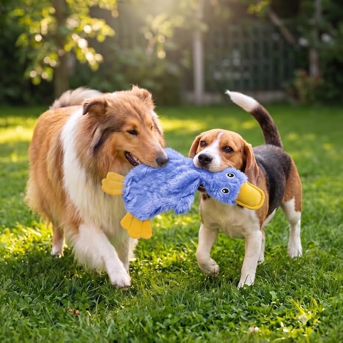 Best Pet Supplies Interactive Squeaky Dog Chew Toy, Ideal Dog Toys for Chewers, Small, Medium & Large Dogs, and Fetch Lovers - Crinkle Duck (Blue), Large