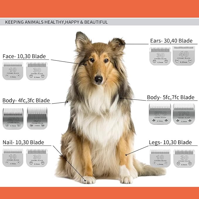 40# Detachable Dog Blades Compatible with Andis/Oster A5 Grooming | Compatible with wahl km10 dog clipper,Cut Length 1/100"(0.25mm),Made of Ceramic Blade & Stainless Steel Blade
