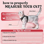 rabbitgoo Cat Harness and Leash Set, Escape Proof Vest, Berry Pounce | Soft Breathable Mesh, Easy Adjustable Fit, Snap Buckles, Sturdy Clip, Reflective Strips, for Kittens & Small Cats Walks, Xxs